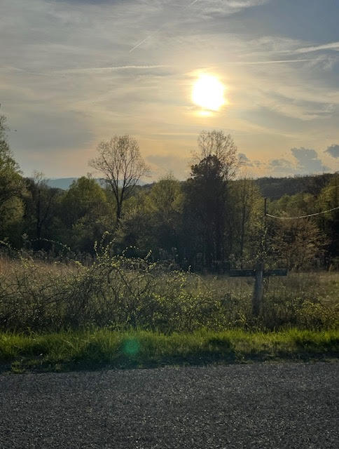0 Wooldridge Road Blue Ridge, VA 24064 - Photo 2 of 6 a view of a yard and mountain view