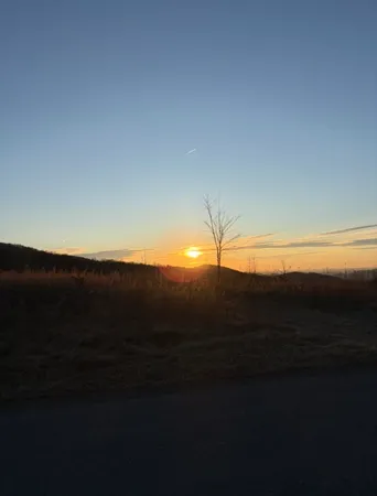 a view of sunset and green space