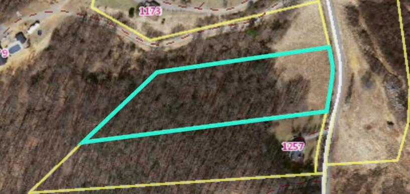 0 Wooldridge Road Blue Ridge, VA 24064 - Photo 4 of 6