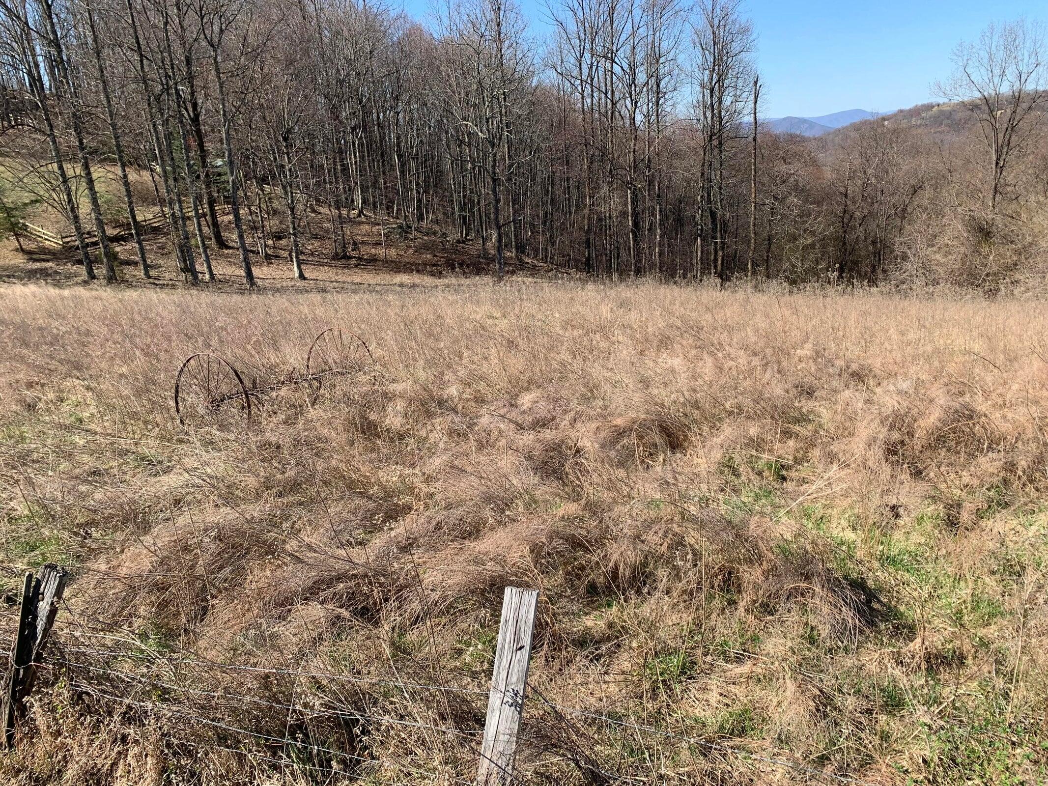 0 Wooldridge Road Blue Ridge, VA 24064 - Photo 5 of 6 a view of covered with snow