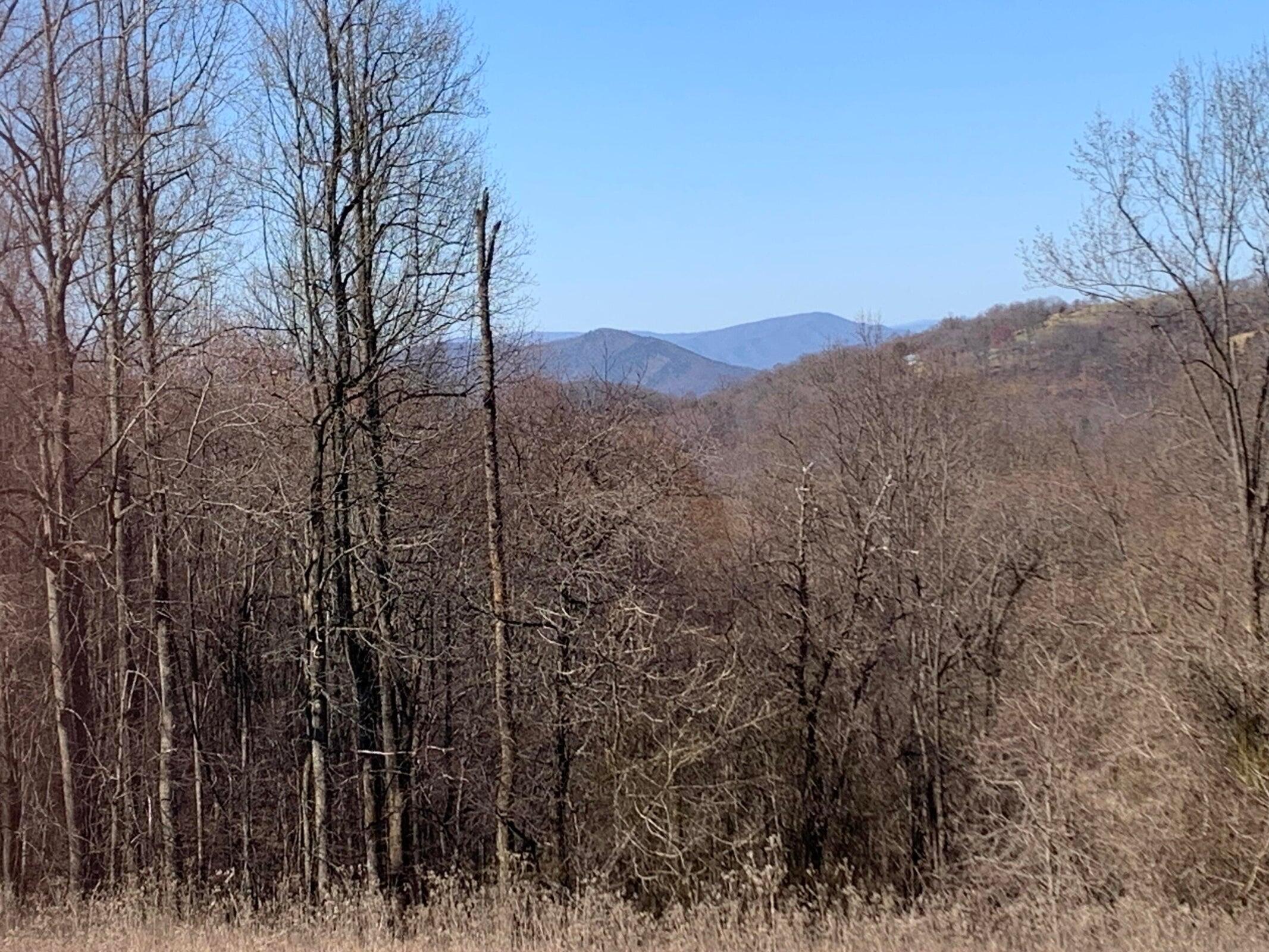 0 Wooldridge Road Blue Ridge, VA 24064 - Photo 6 of 6 a view of a forest with a mountain