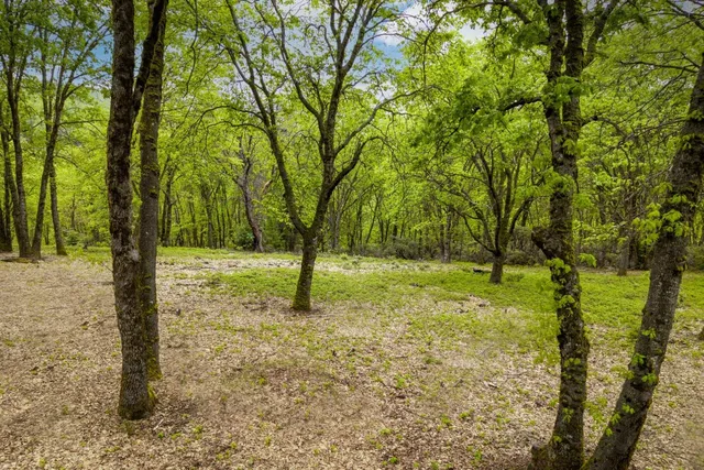 a view of a yard with swimming pool