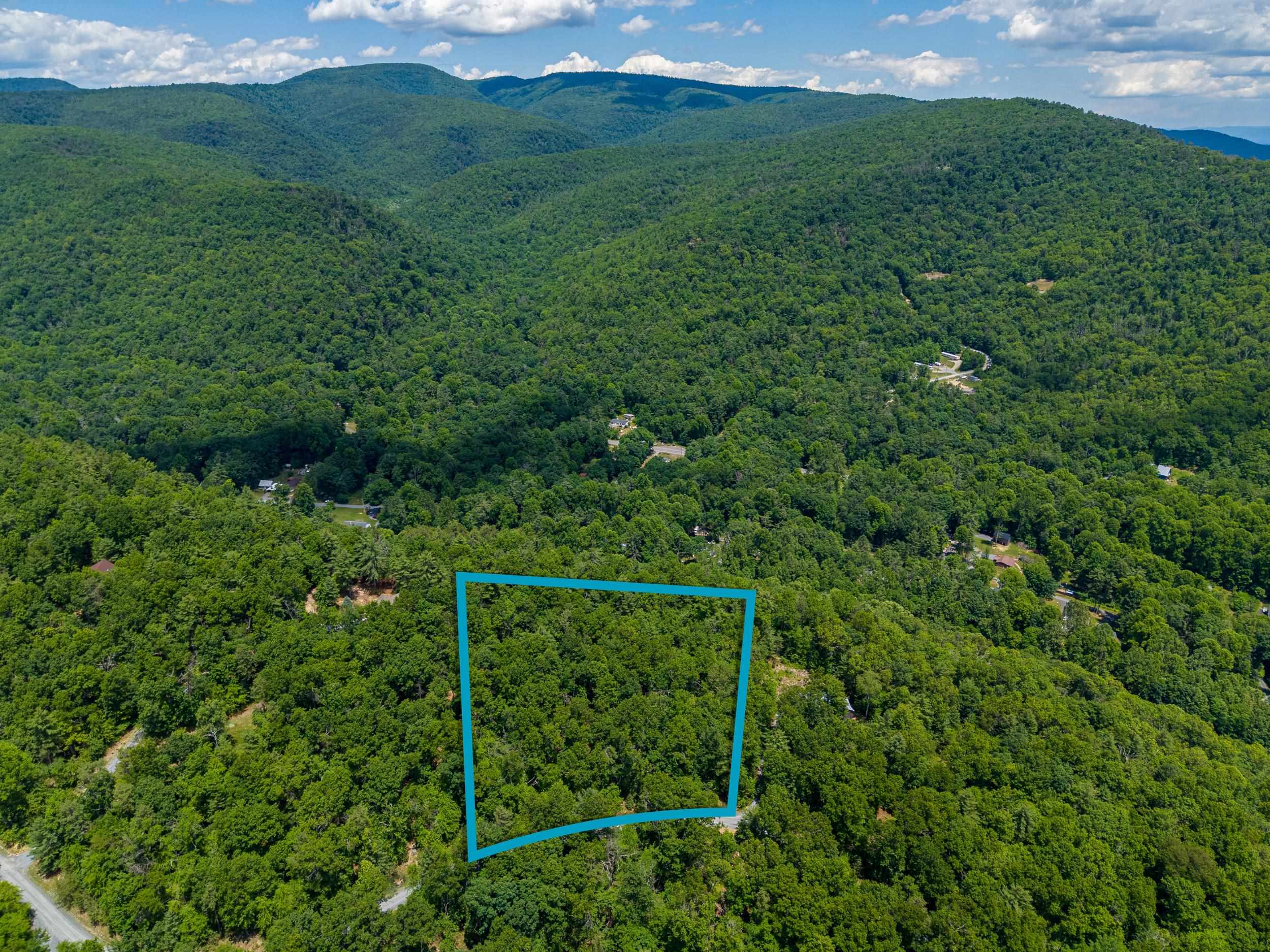 5 Rabbits Foot Road Hinton, VA 22831 - Photo 2 of 16