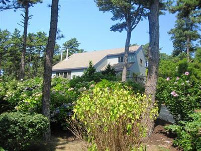 300 Old Chequessett Neck Road Wellfleet, MA 02667 - Photo 1 of 10 Primary Photo