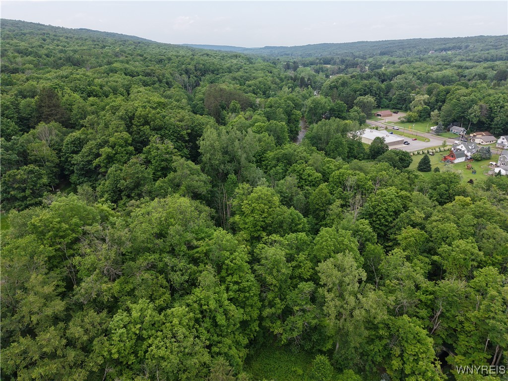 8762 Lower East Hill Road Colden, NY 14033 - Photo 1 of 15