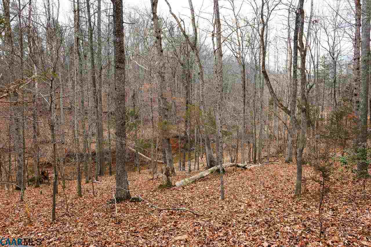 1530 London Road Charlottesville, VA 22901 - Photo 29 of 29 a view of a yard with trees