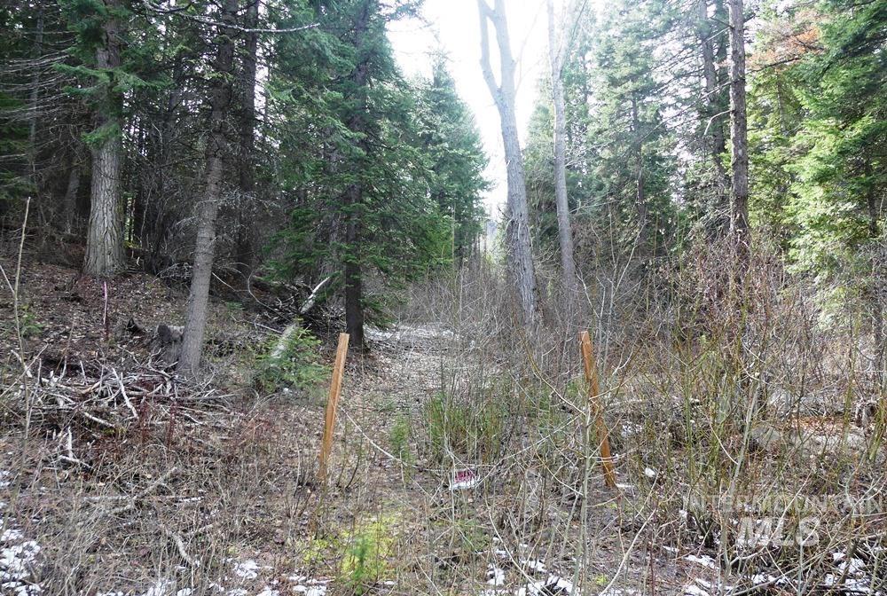 573 West Mountain Road Cascade, ID 83611 - Photo 9 of 9