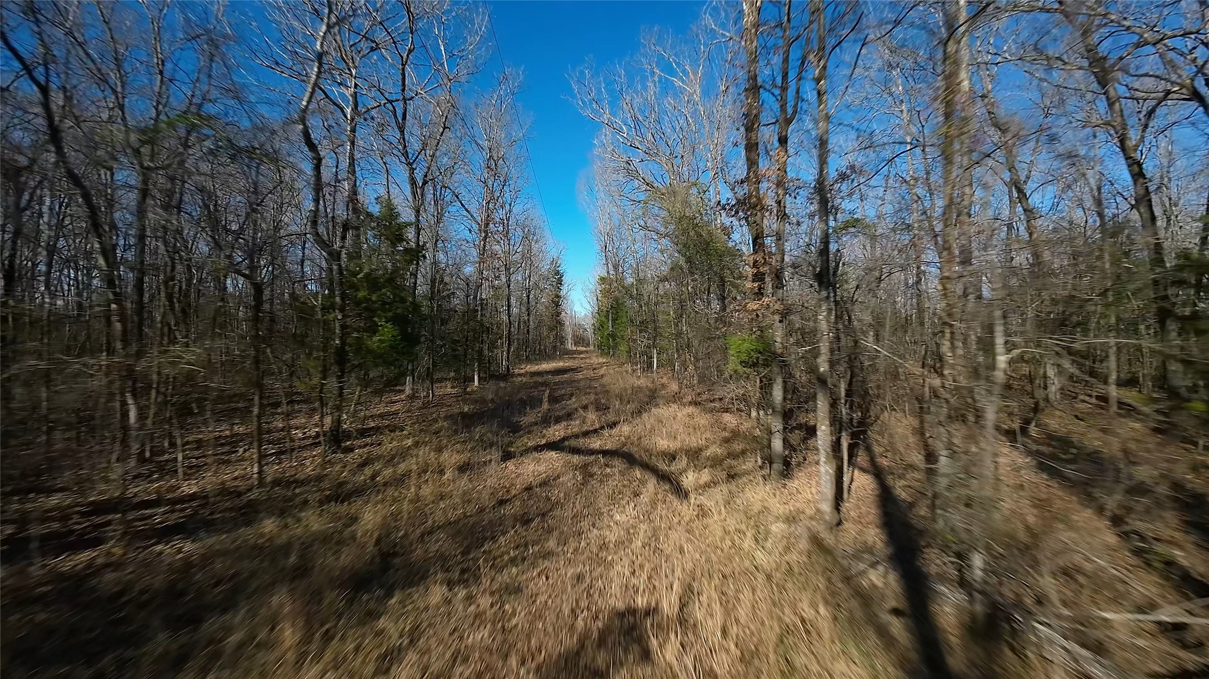 4239 - Cr Simms, TX 75574 - Photo 11 of 21 a view of a yard with trees