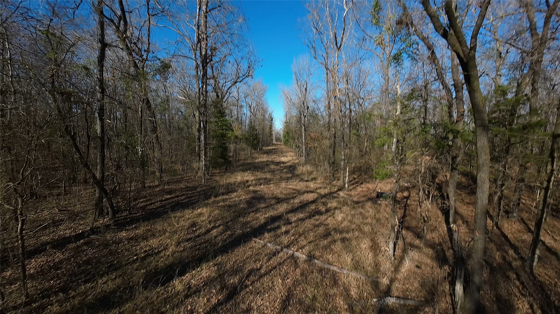 4239 - Cr Simms, TX 75574 - Photo 13 of 21 a view of a yard
