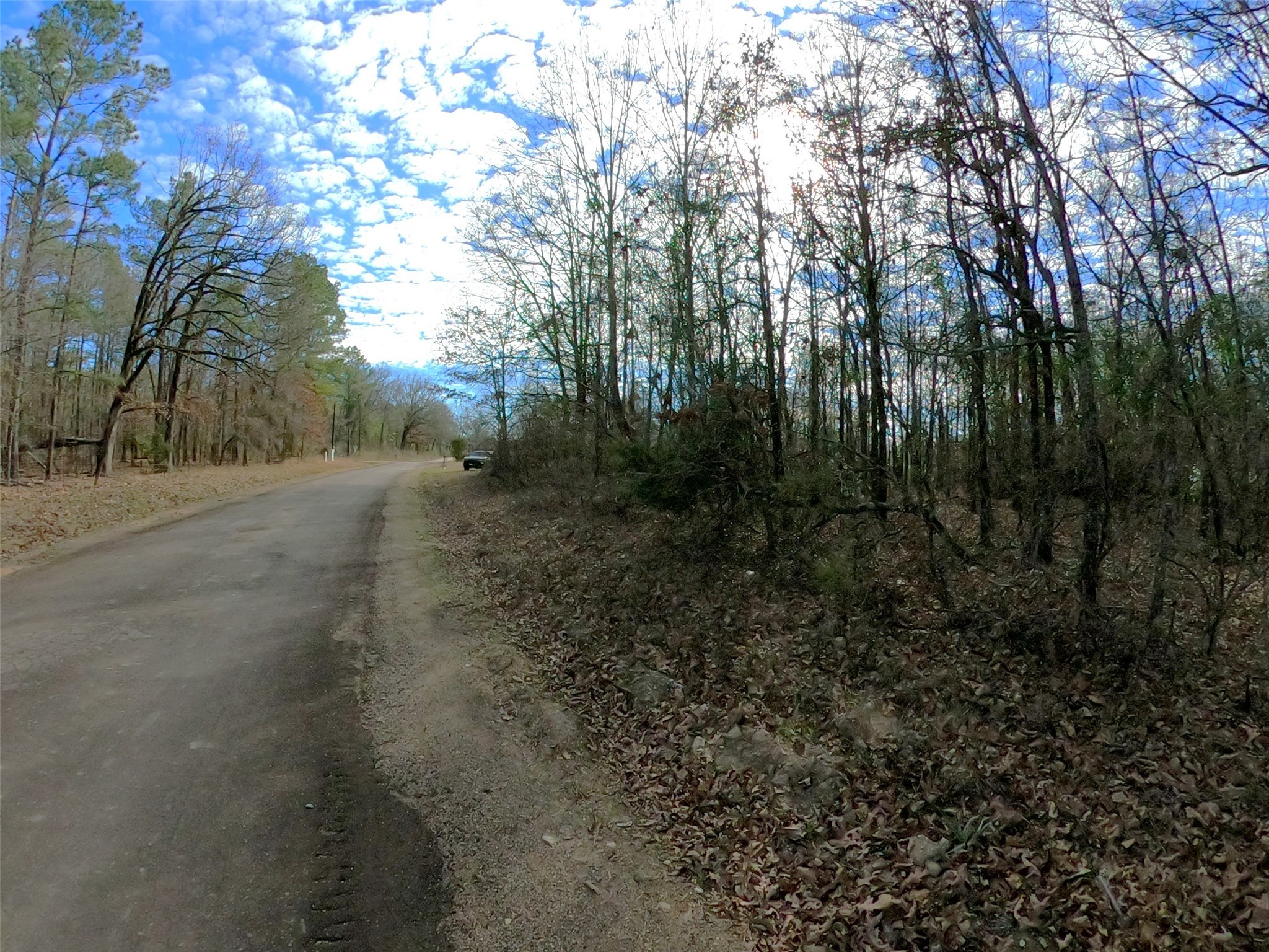 4239 - Cr Simms, TX 75574 - Photo 14 of 21 a view of dirt yard with a large tree