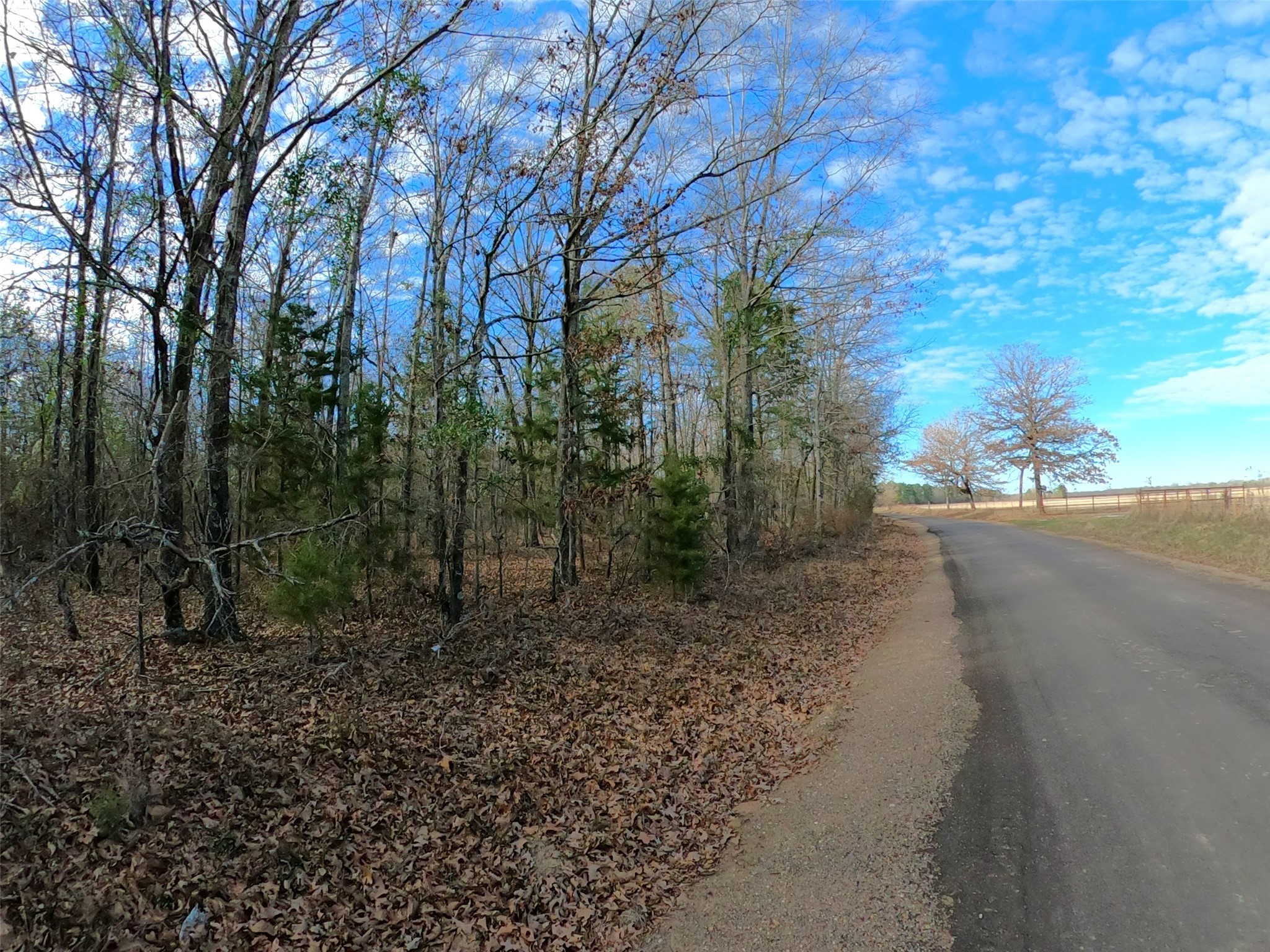 4239 - Cr Simms, TX 75574 - Photo 15 of 21 a view of a yard with trees