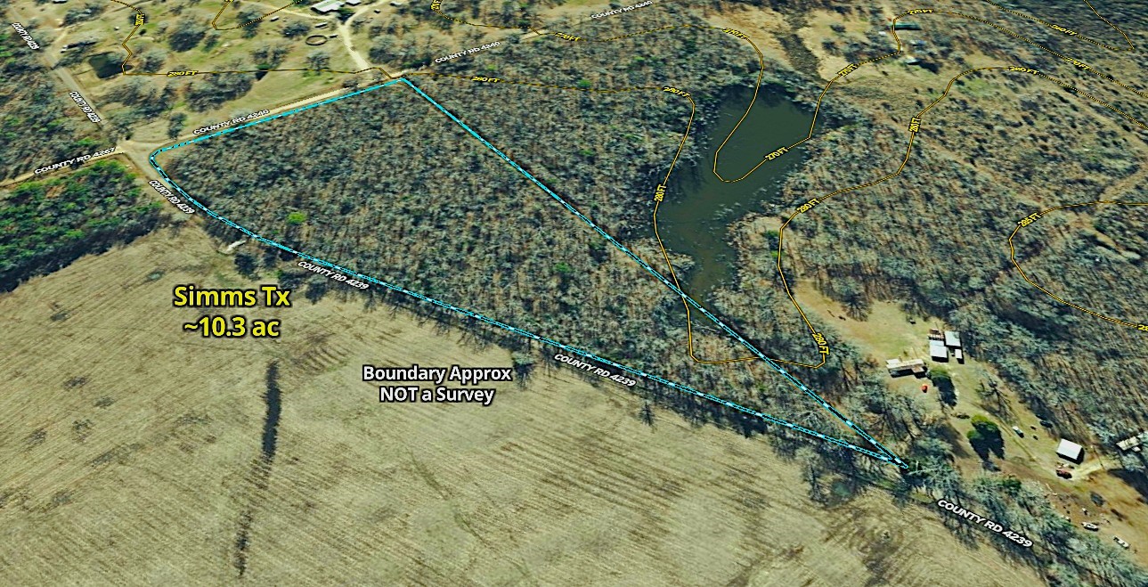 4239 - Cr Simms, TX 75574 - Photo 3 of 21 a view of a tree in a forest