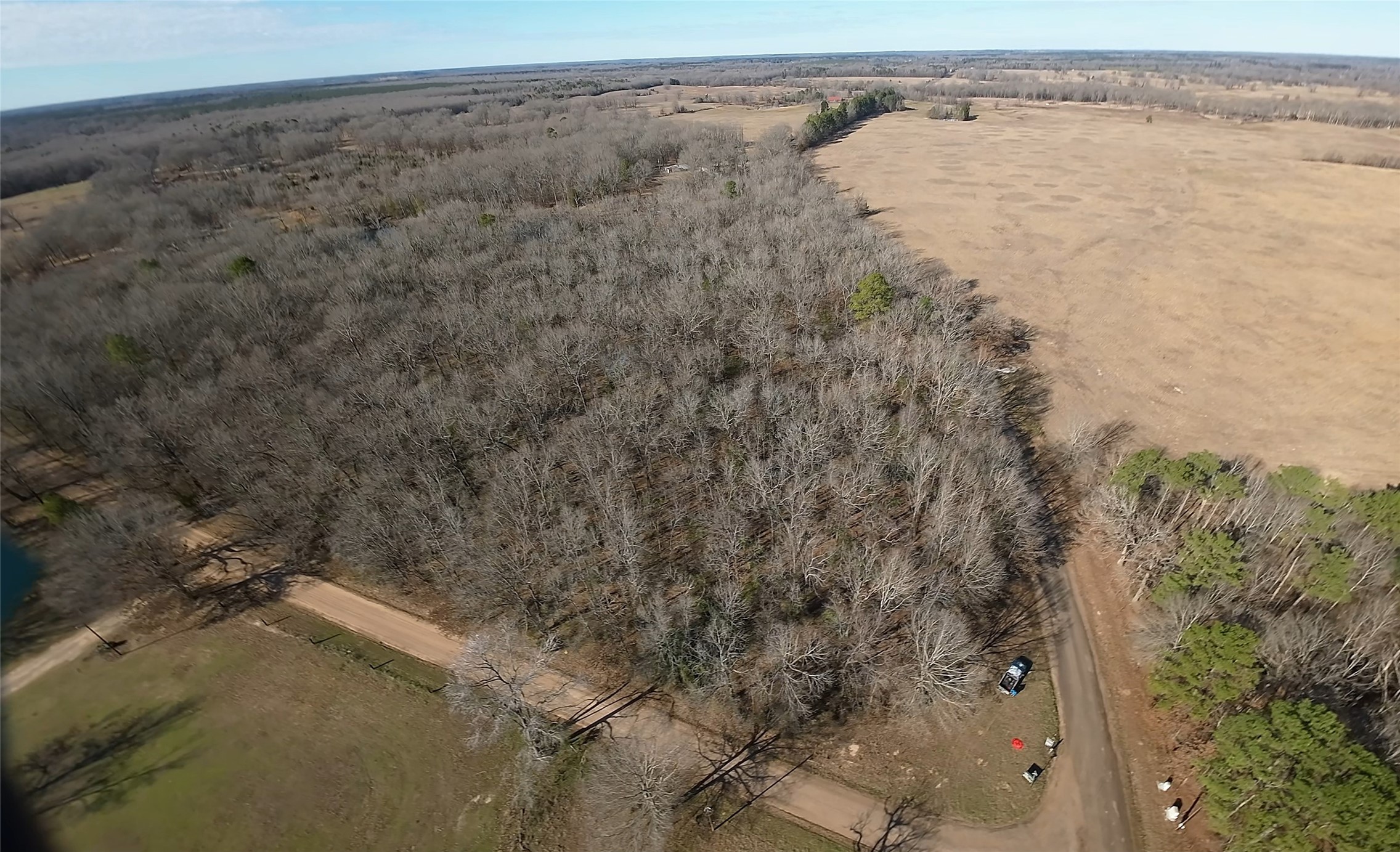 4239 - Cr Simms, TX 75574 - Photo 5 of 21 a view of a dry yard with wooden floor and fence
