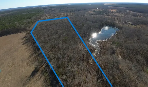 a view of a lake in middle of the forest