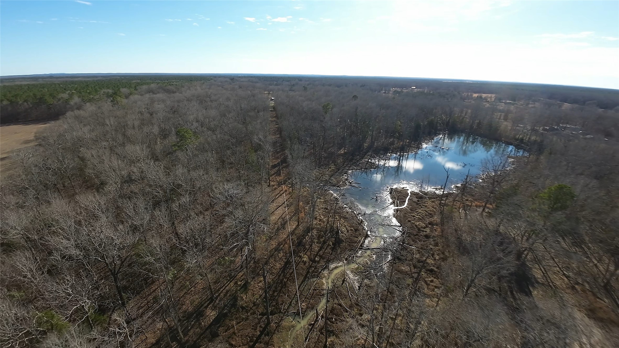 4239 - Cr Simms, TX 75574 - Photo 7 of 21 a view of a lake in middle of the forest