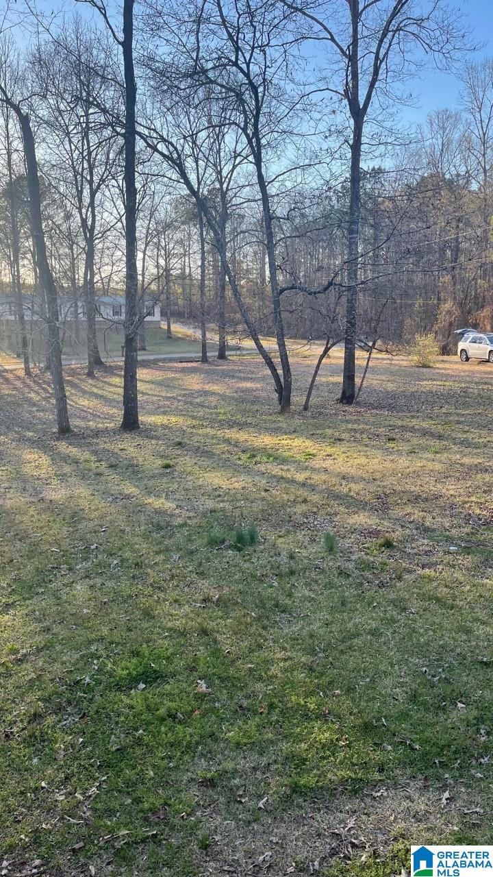 557 Pleasant Valley Farms Road Brierfield, AL 35035 - Photo 39 of 39