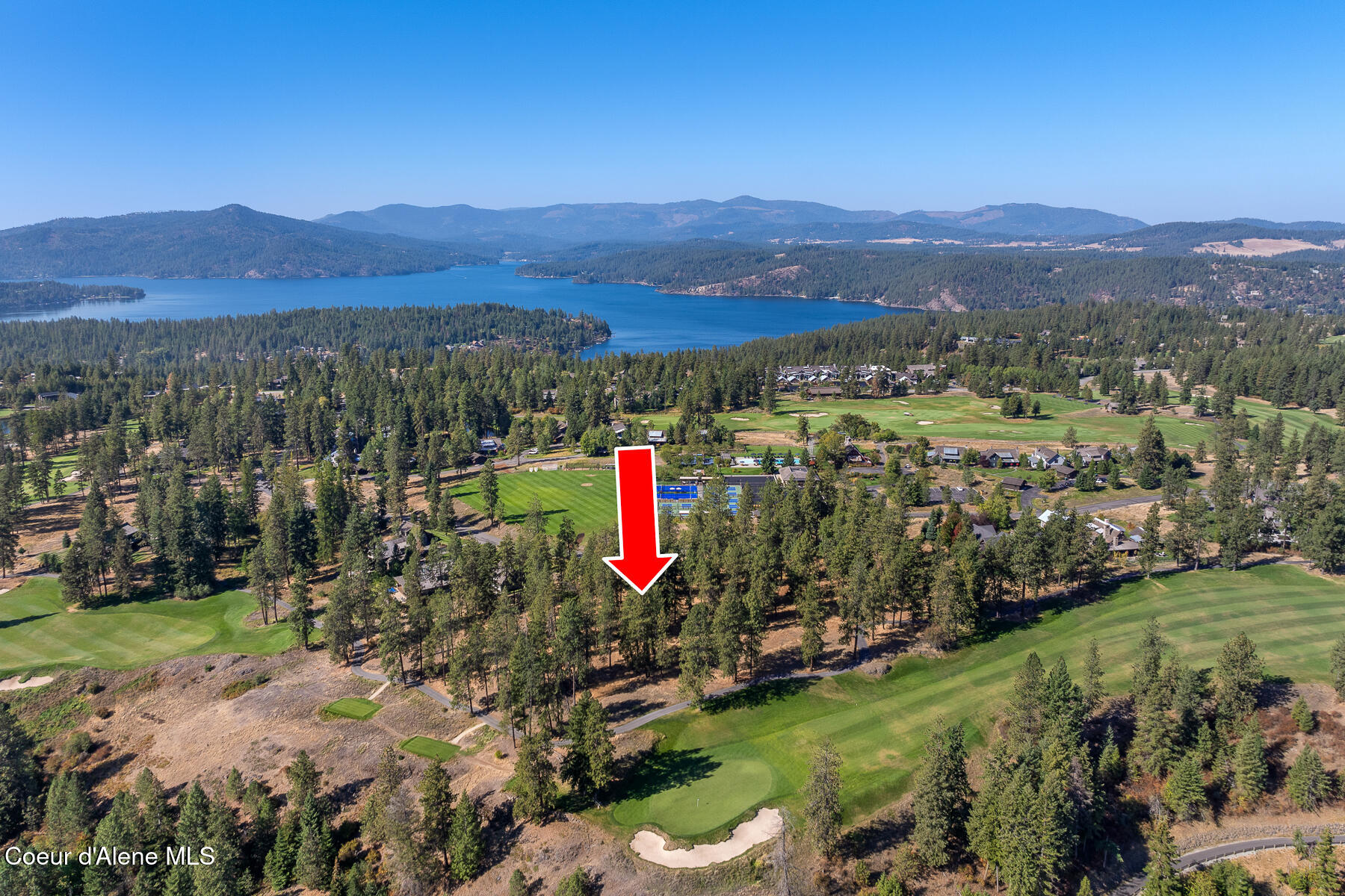 6446 South Old Barn Road Harrison, ID 83833 - Photo 13 of 16 Aerial_Lot203-8_Arrow