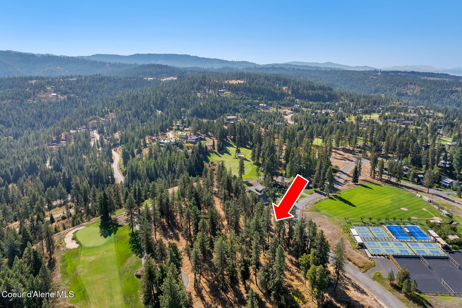 6446 South Old Barn Road Harrison, ID 83833 - Photo 15 of 16 Aerial_Lot203-9_Arrow