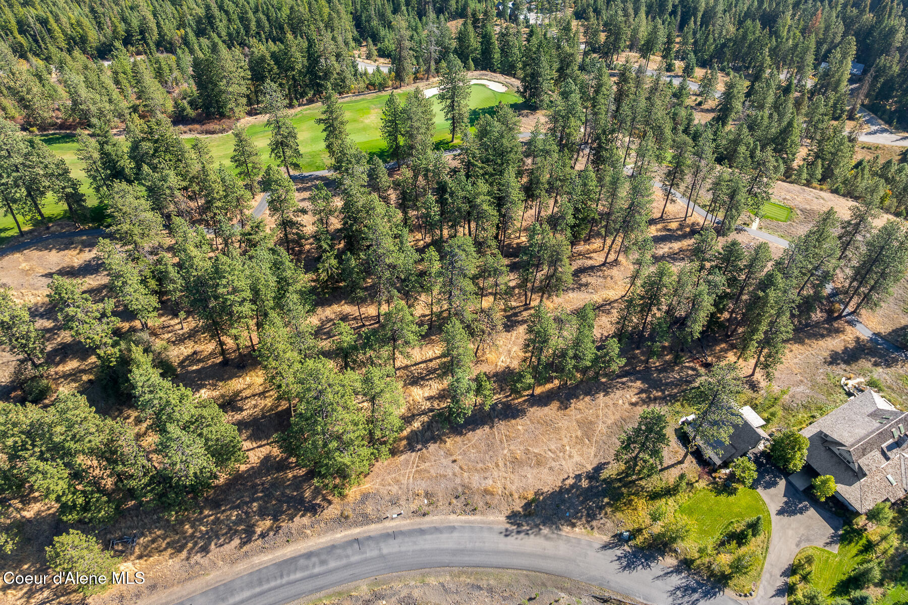 6446 South Old Barn Road Harrison, ID 83833 - Photo 2 of 16 Aerial_Lot203-1
