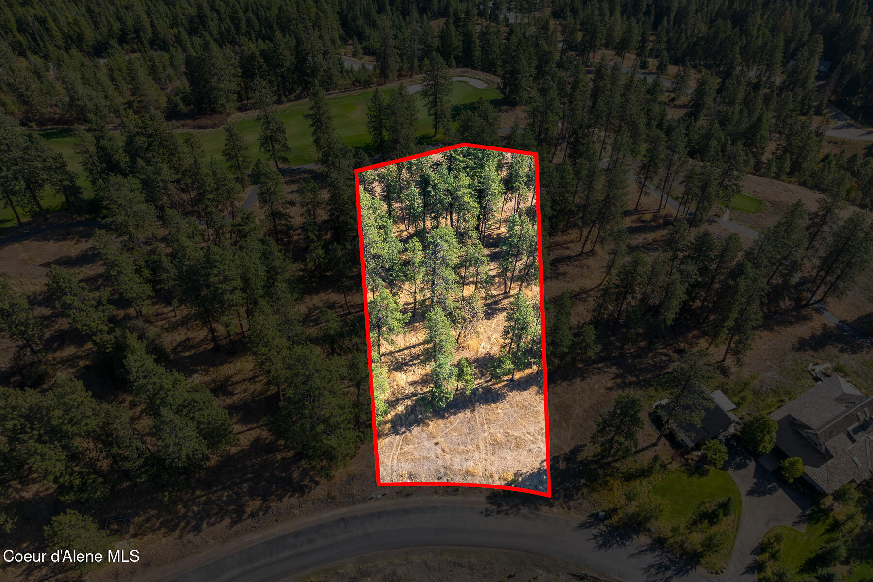 6446 South Old Barn Road Harrison, ID 83833 - Photo 3 of 16 Aerial_Lot203-1_Outlined