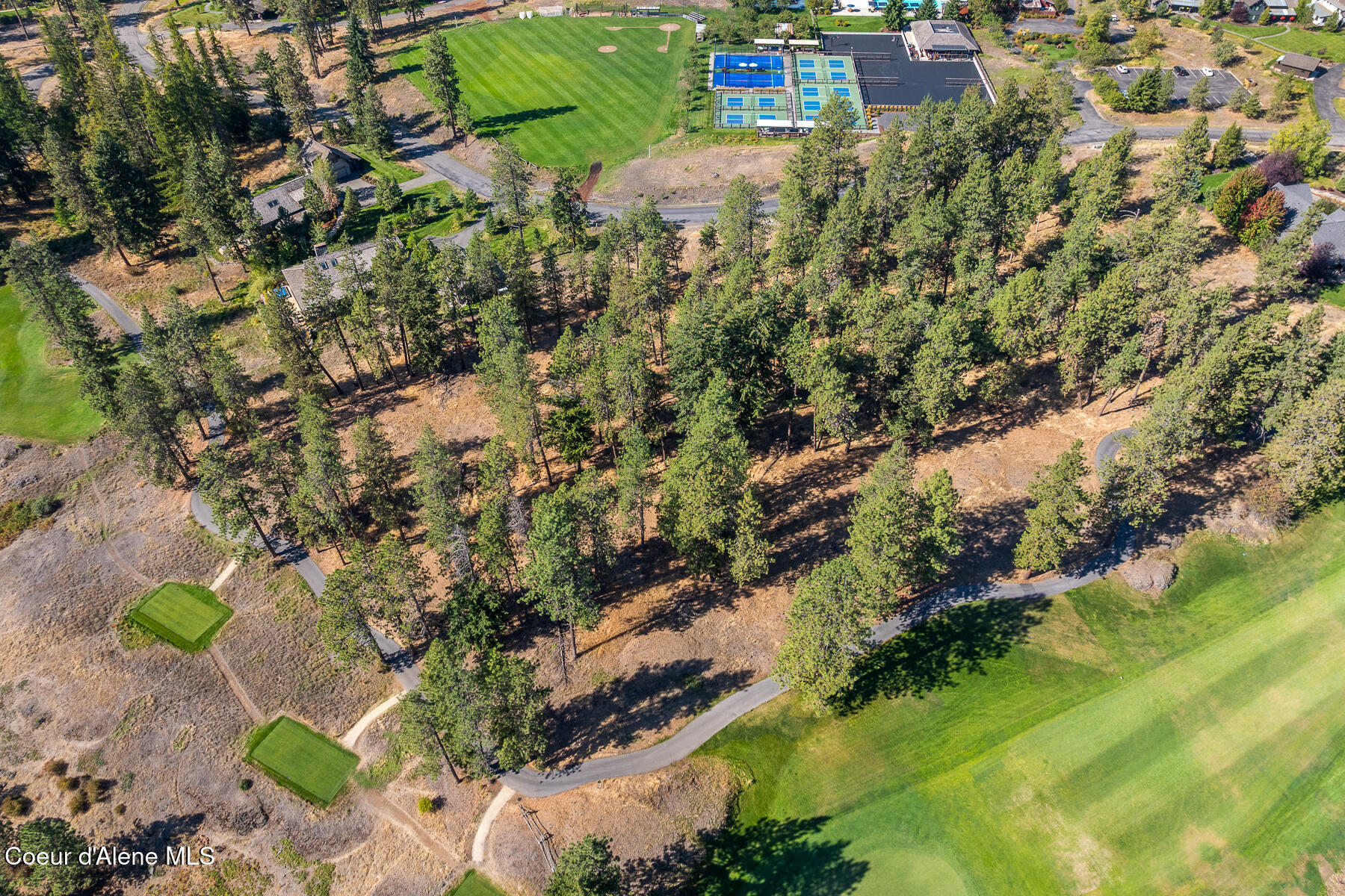 6446 South Old Barn Road Harrison, ID 83833 - Photo 4 of 16 Aerial_Lot203-2