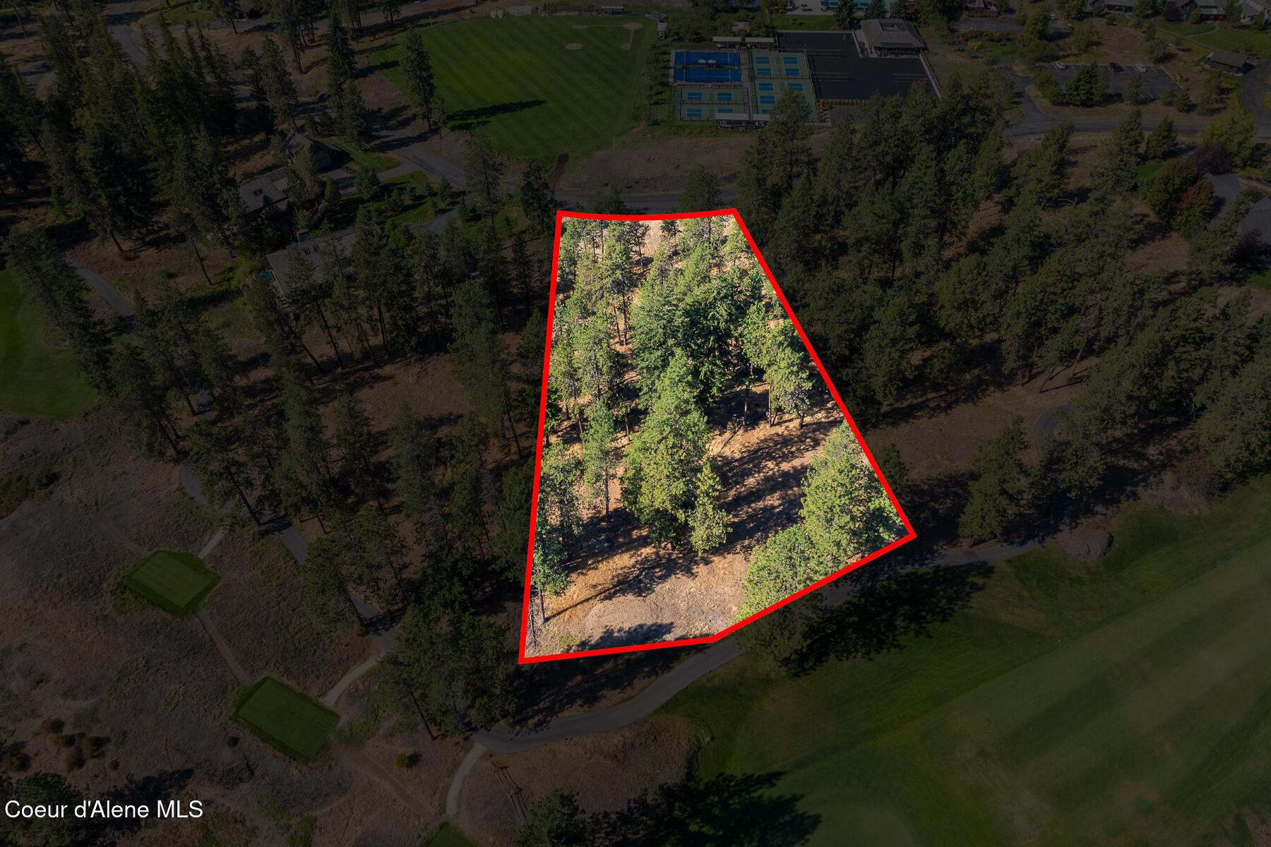 6446 South Old Barn Road Harrison, ID 83833 - Photo 5 of 16 Aerial_Lot203-2_Outlined