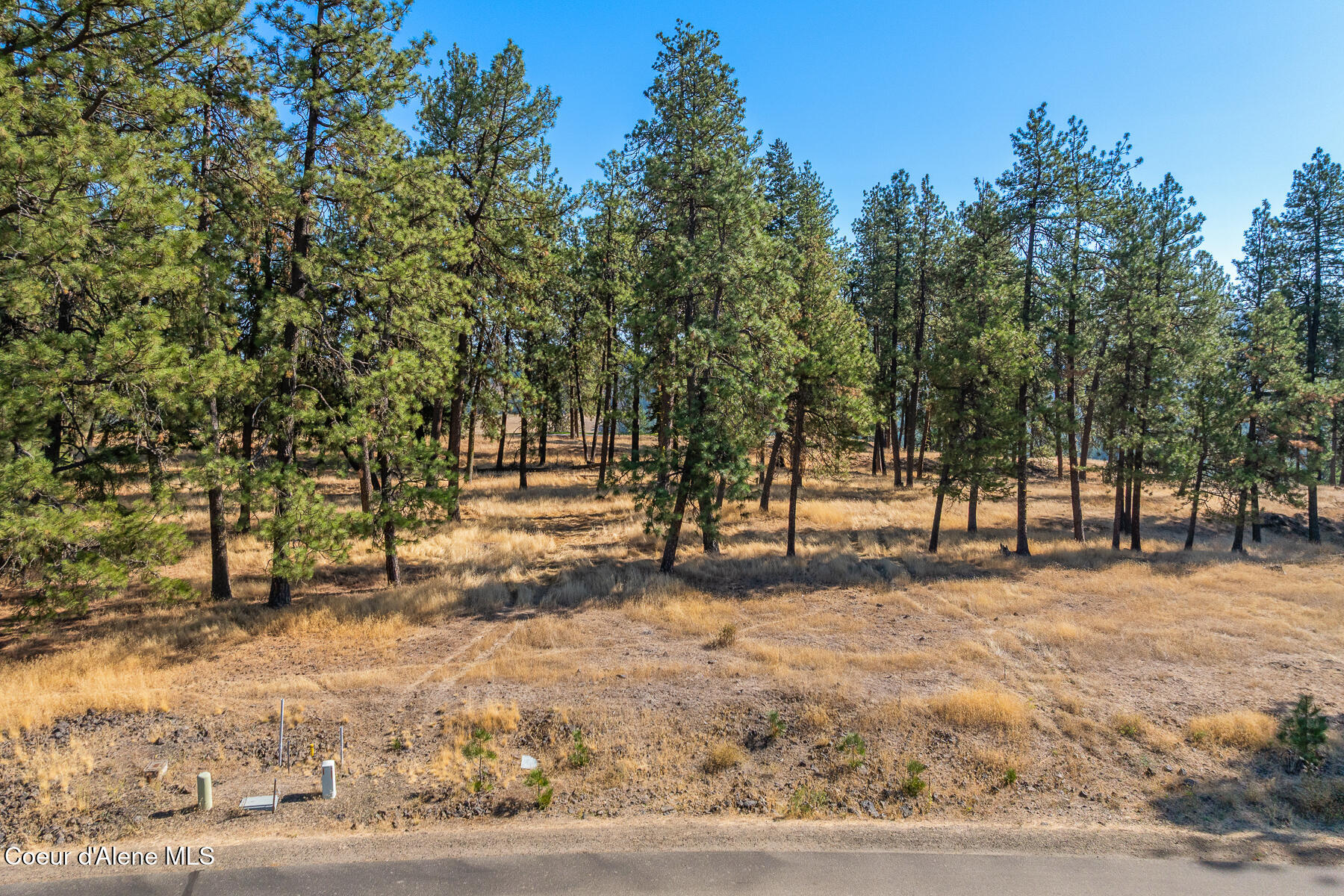 6446 South Old Barn Road Harrison, ID 83833 - Photo 6 of 16 Aerial_Lot203-3