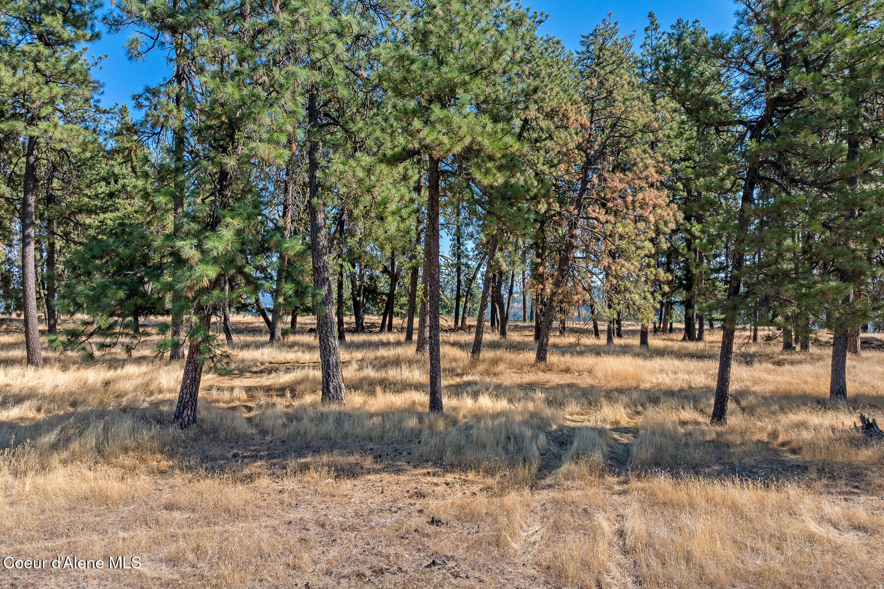 6446 South Old Barn Road Harrison, ID 83833 - Photo 7 of 16 Aerial_Lot203-4