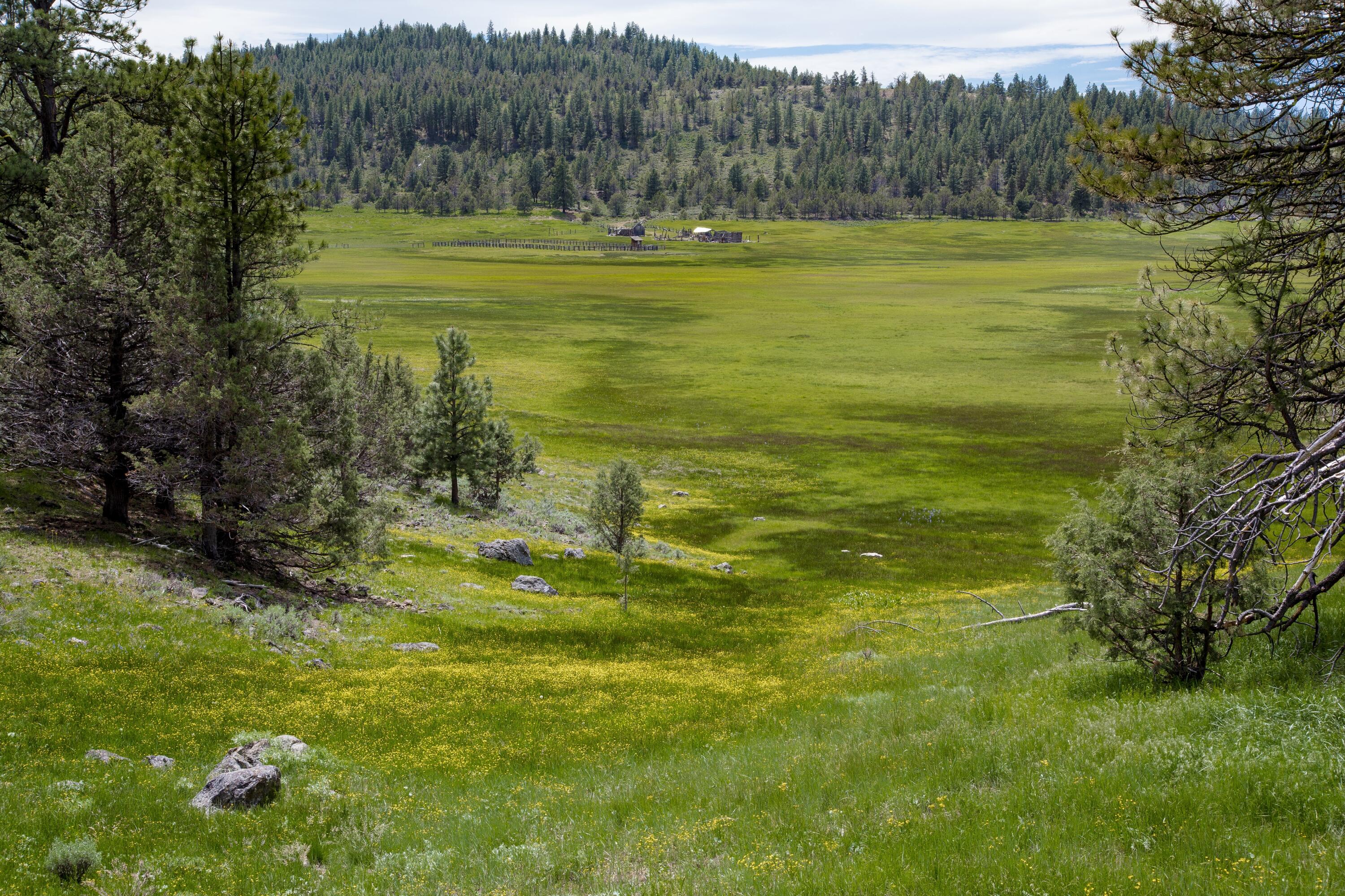 0 Fishhole Creek Road Bly, OR 97622 - Photo 17 of 38 ranch valley landscape with forest orego