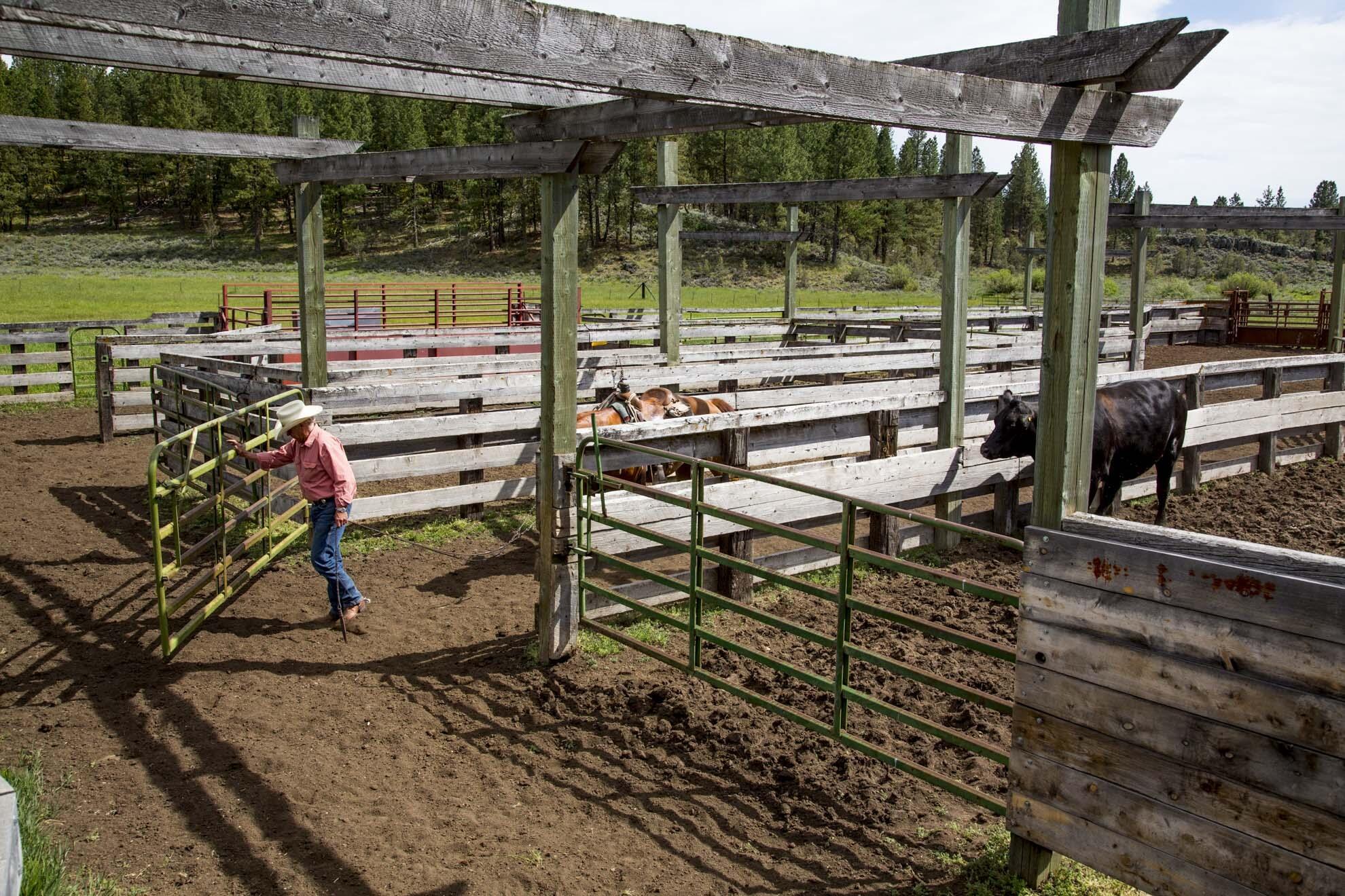 0 Fishhole Creek Road Bly, OR 97622 - Photo 22 of 38 working cattle corrals ranch operation o
