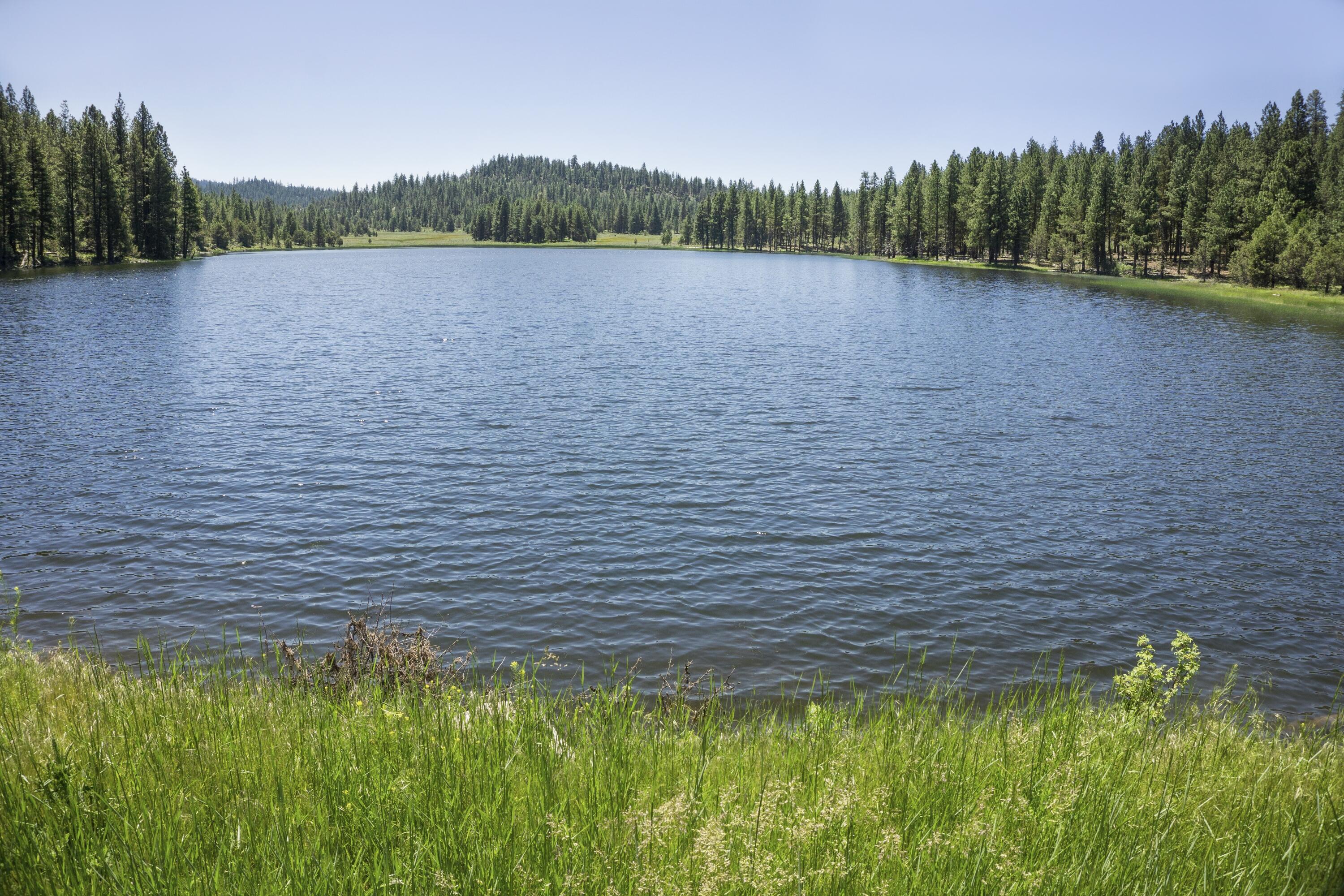 0 Fishhole Creek Road Bly, OR 97622 - Photo 32 of 38 fishing lake landscape oregon aspen ridg