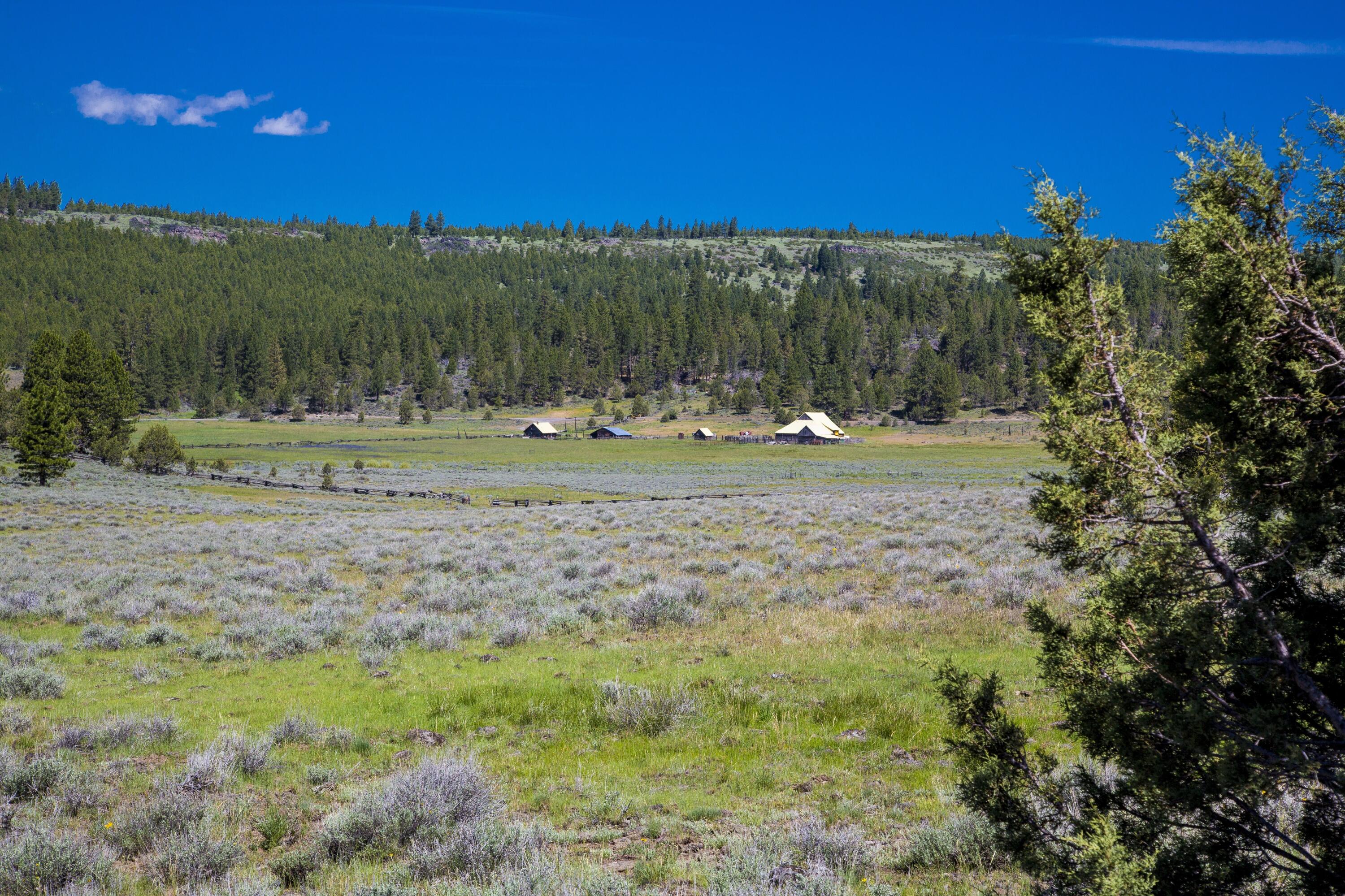 0 Fishhole Creek Road Bly, OR 97622 - Photo 38 of 38 large acreage ranch land oregon aspen ri