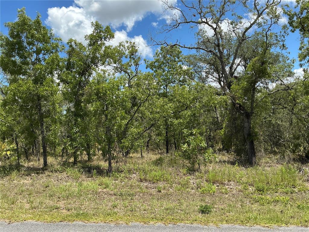13022 Jaywalk Road Weeki Wachee, FL 34614 - Photo 1 of 1 Gallery Image 1