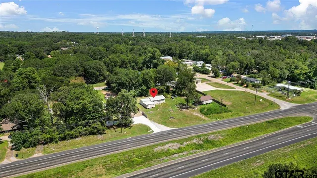 a view of a garden from a window
