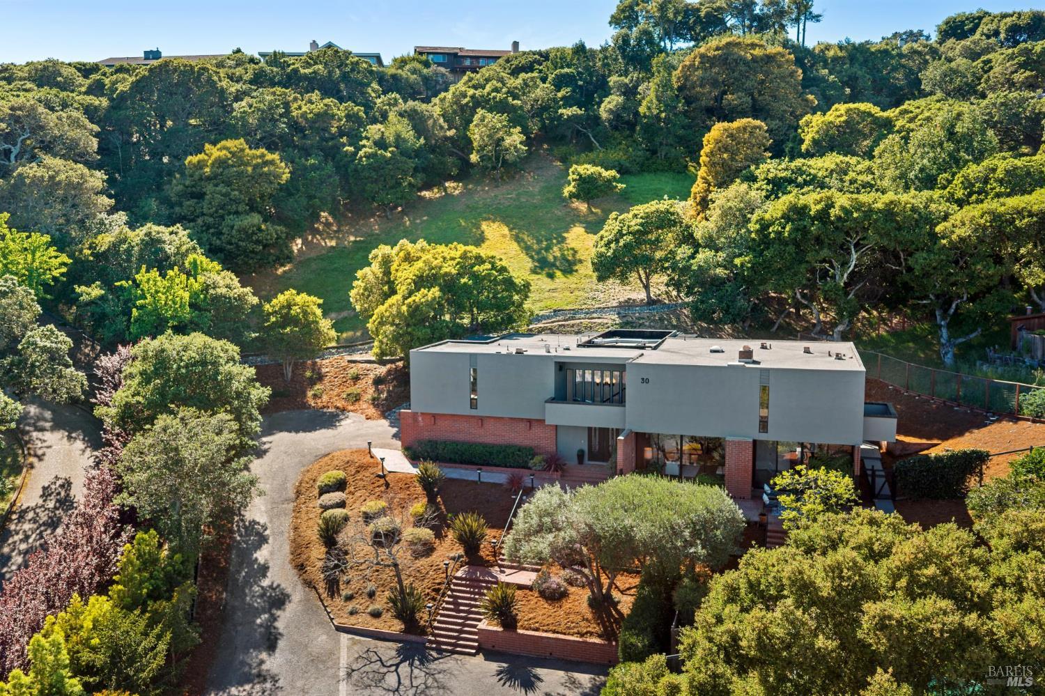 30 Chateau Place San Rafael, CA 94901 - Photo 3 of 61