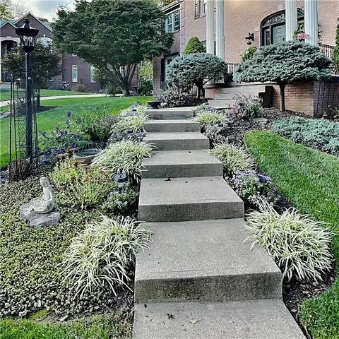 a view of a garden with pathway