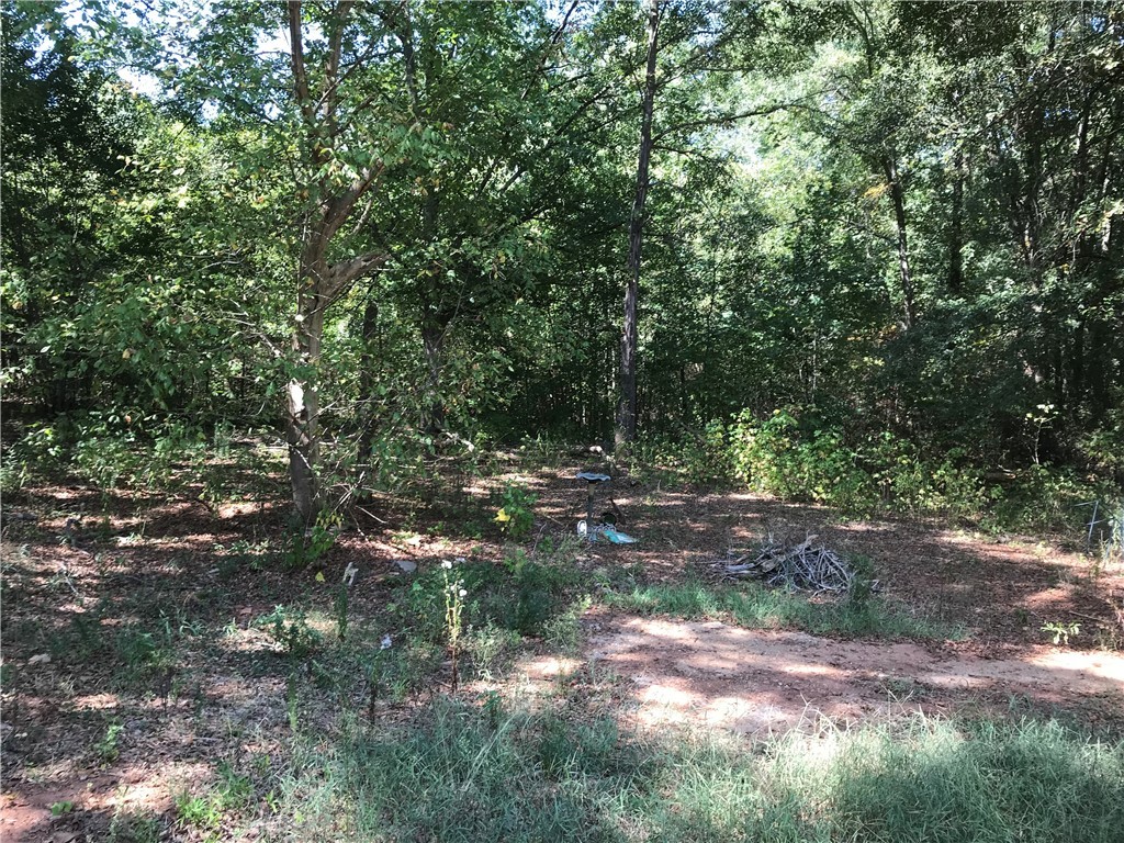 1404 Lebanon Road Pendleton, SC 29670 - Photo 2 of 3