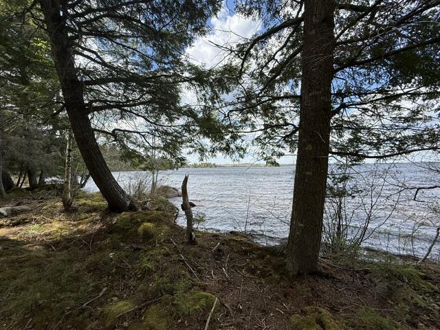 Lot12-part Indian Trail Road East Machias, ME 04630 - Photo 12 of 34 IMG_9873