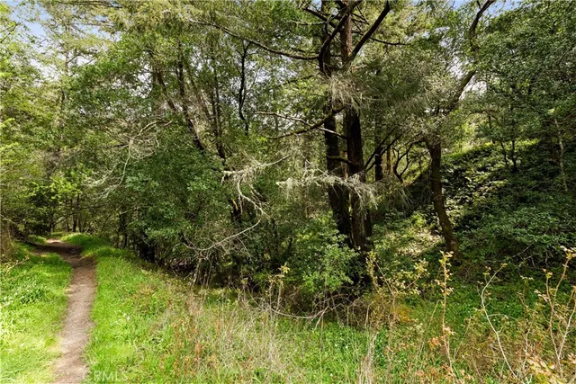 a view of a yard with large trees