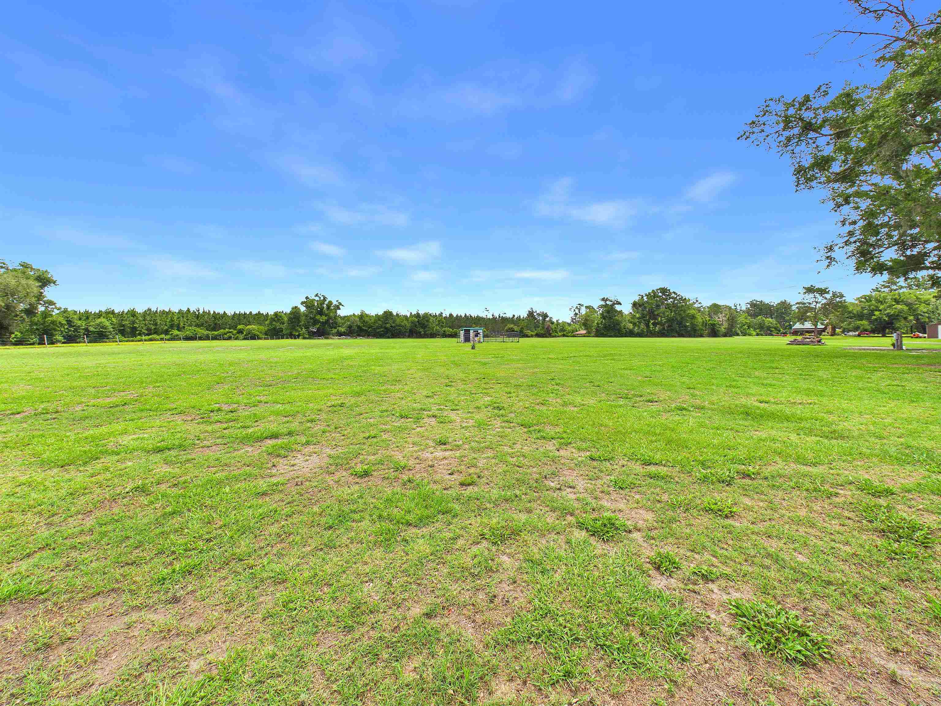 4764 Southwest Fellowship Road Greenville, FL 32331 - Photo 34 of 70