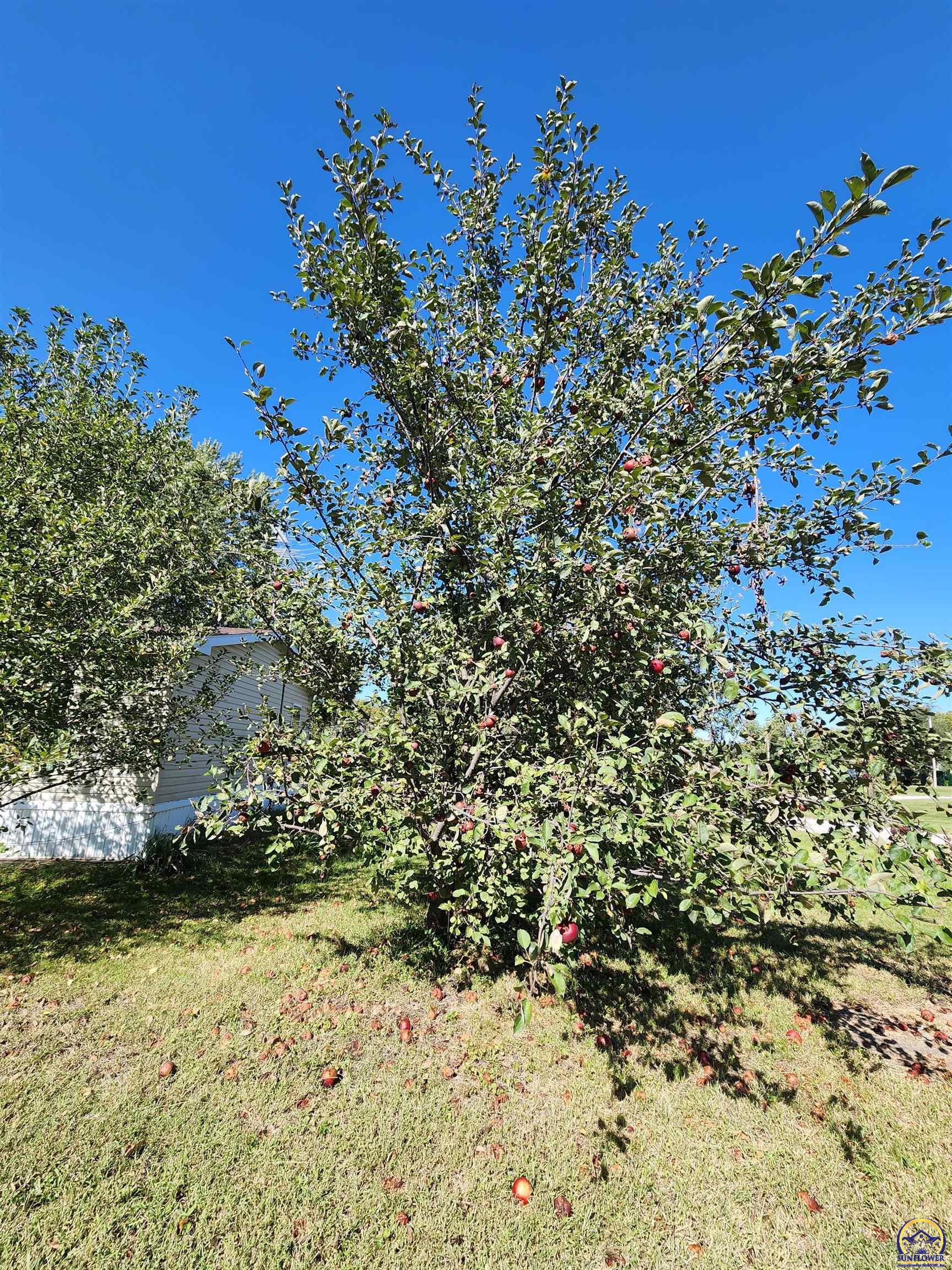 322 Kansas Street Netawaka, KS 66516 - Photo 4 of 20