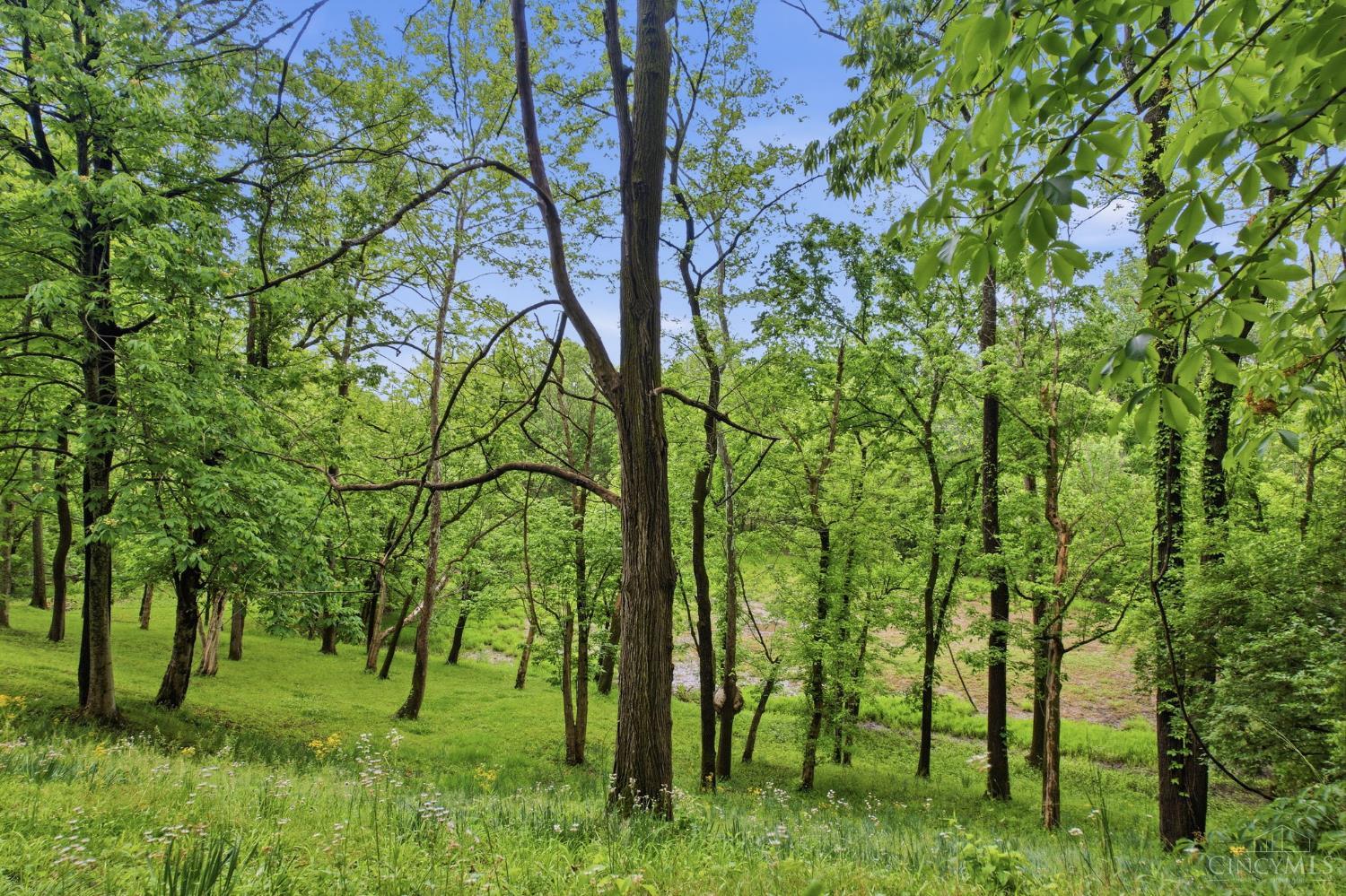 2169 3 Mile Creek Road Ripley, OH 45167 - Photo 31 of 38