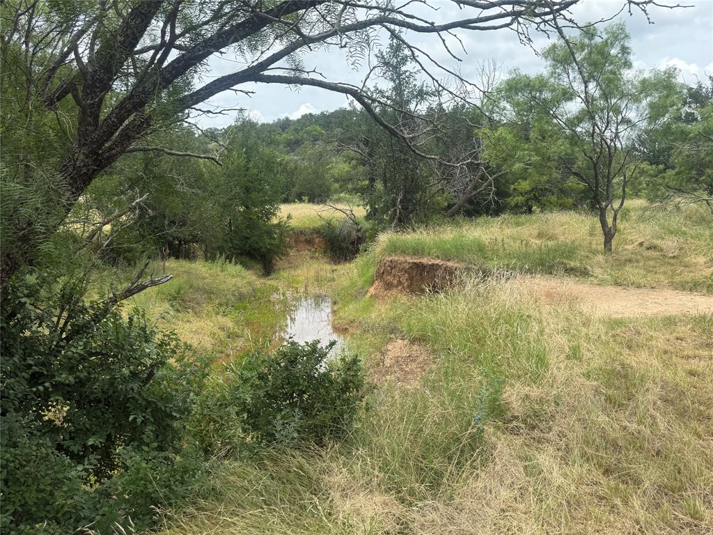 Tbd Coppic Ranch Road Brownwood, TX 76801 - Photo 6 of 13