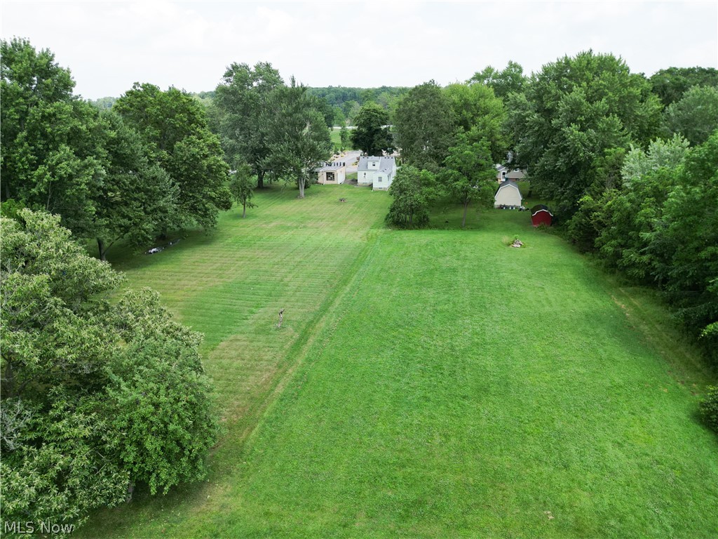6324 Struthers Road Youngstown, OH 44514 - Photo 19 of 42 Expansive green lawn surrounded by mature trees