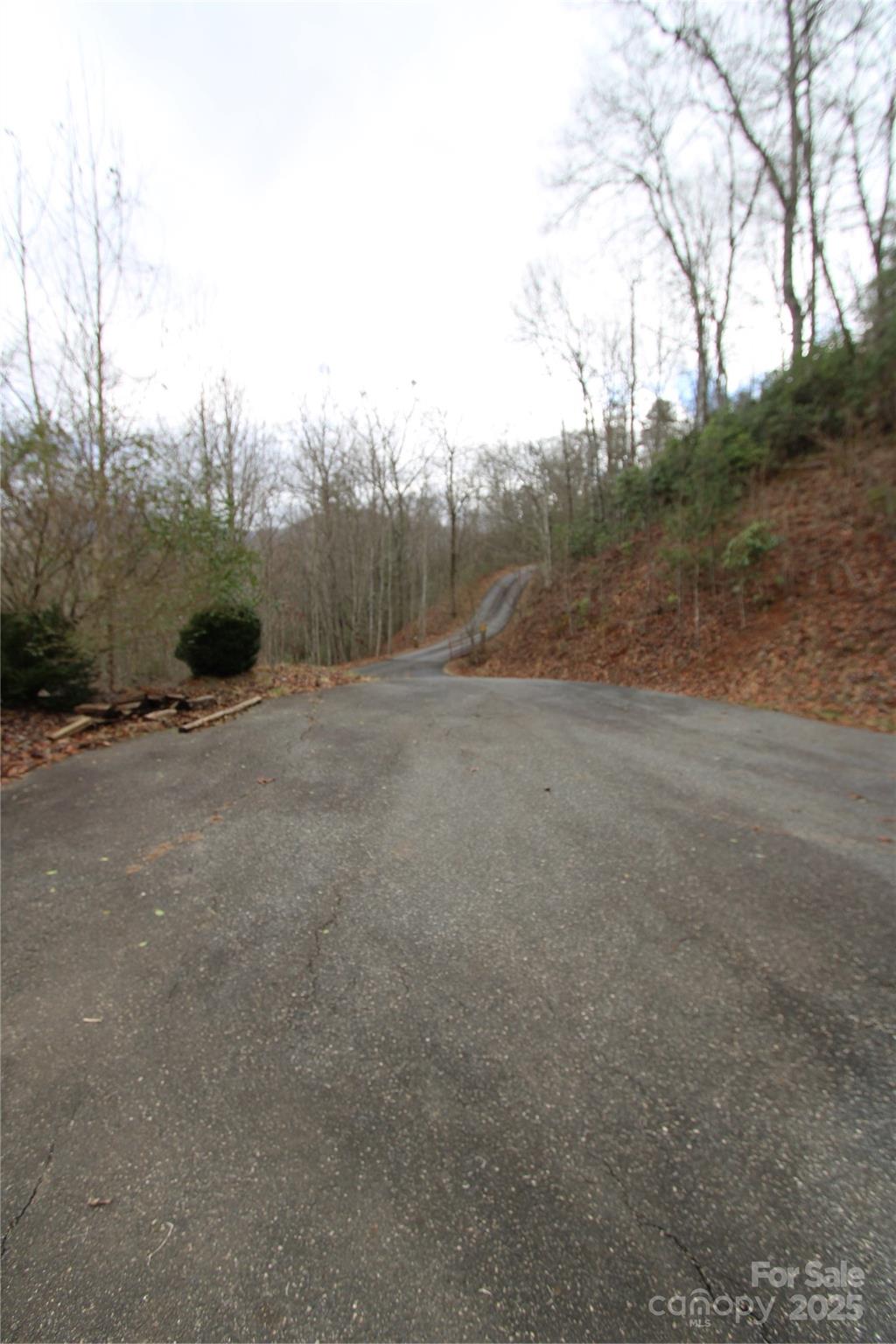 236 Plainview Ridge Sylva, NC 28779 - Photo 18 of 21 a view of an outdoor space with a lake view