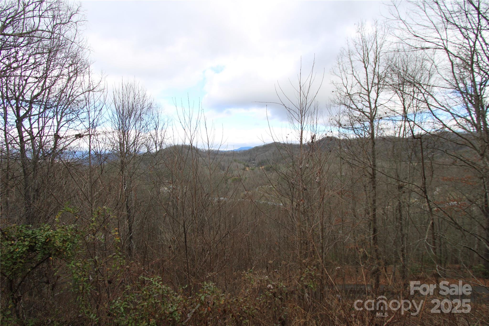 236 Plainview Ridge Sylva, NC 28779 - Photo 20 of 21 a view of mountain view with tall trees