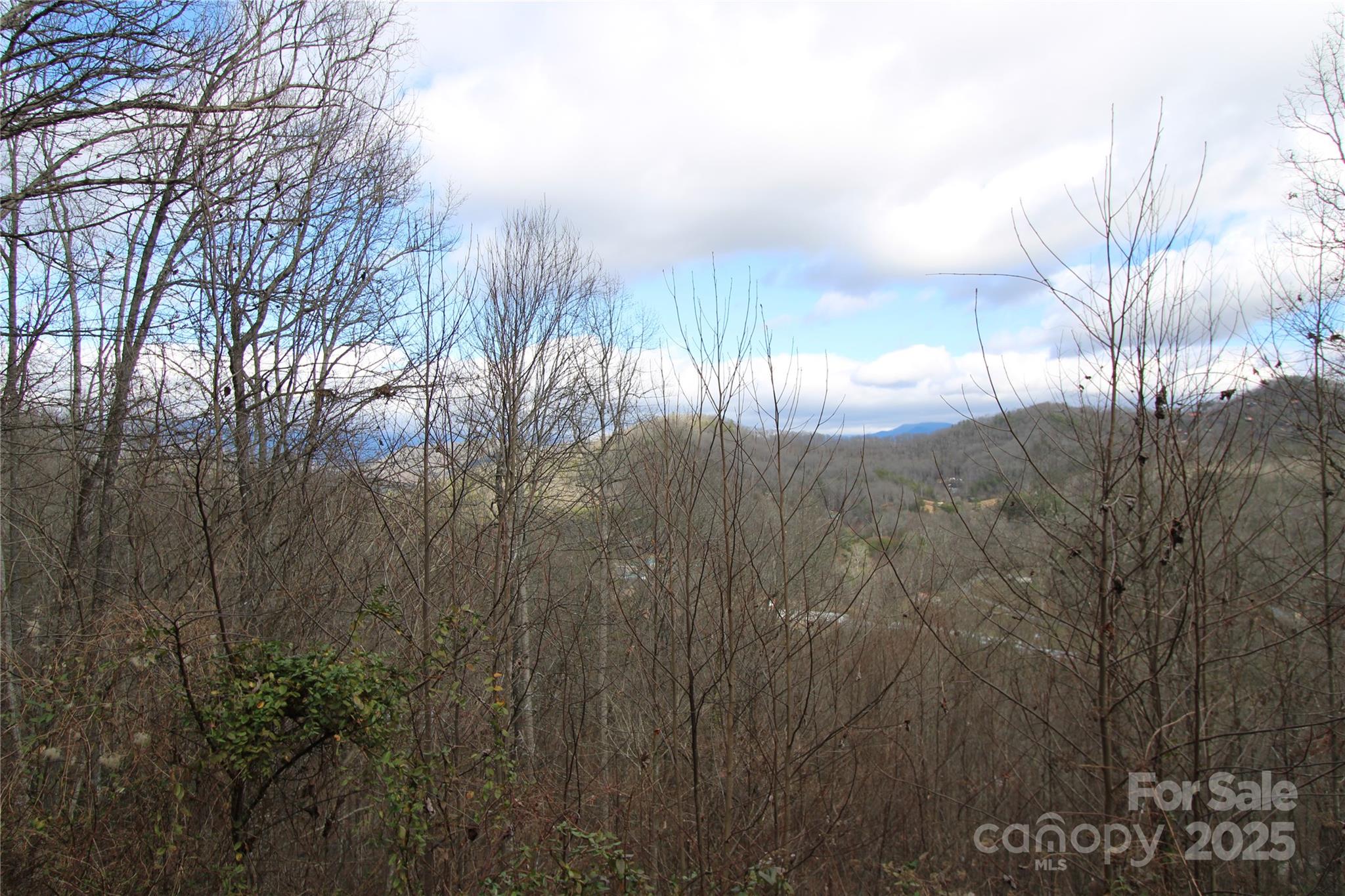 236 Plainview Ridge Sylva, NC 28779 - Photo 2 of 21 a view of a yard