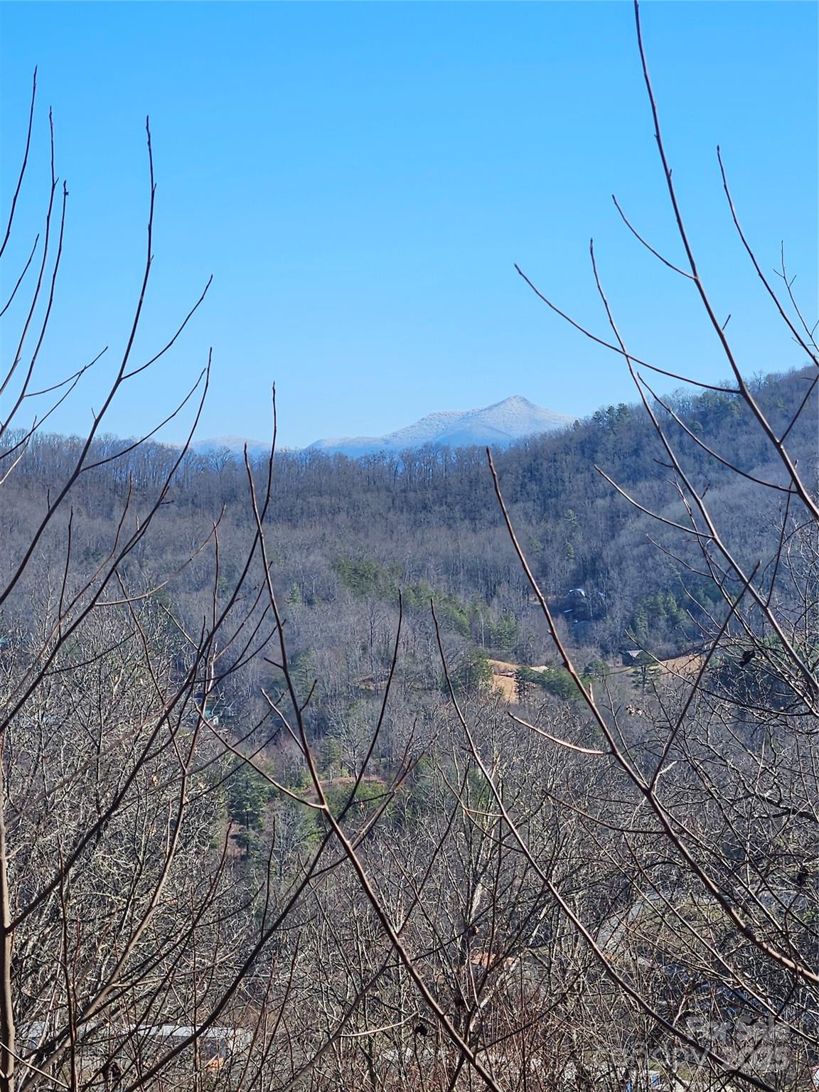 236 Plainview Ridge Sylva, NC 28779 - Photo 21 of 21 a view of a dry yard with lots of trees