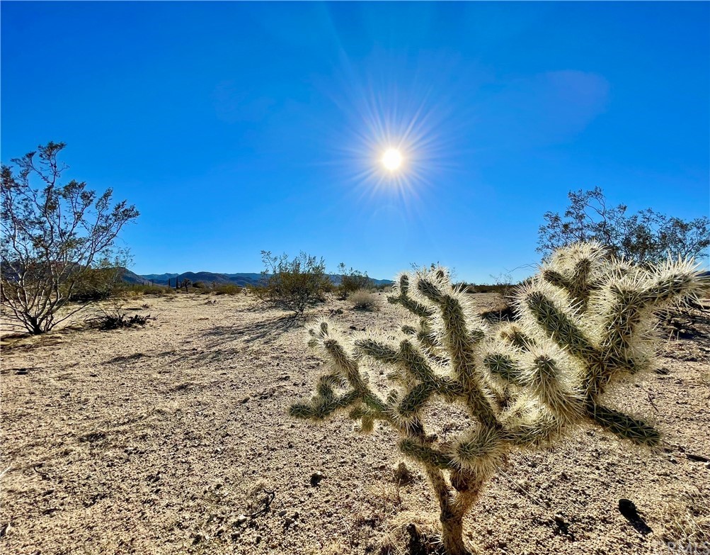 1 Gold Nugget Road Joshua Tree, CA 92252 - Photo 1 of 1 a view of a road with a building in the background