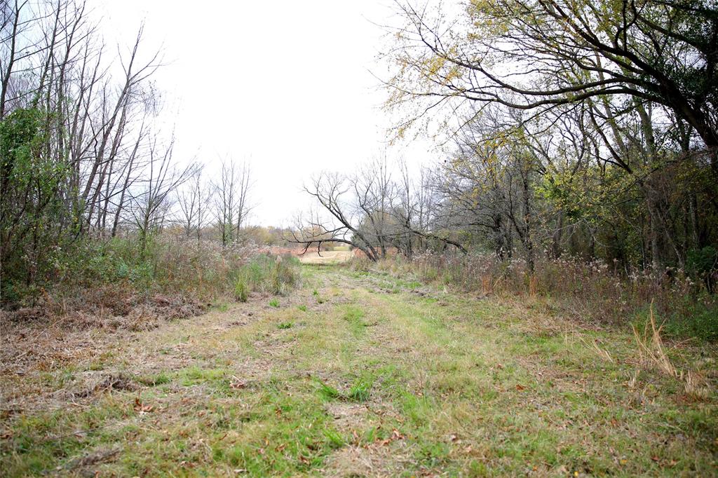 2425 County Road 2425 Como, TX 75431 - Photo 8 of 13 View of nature
